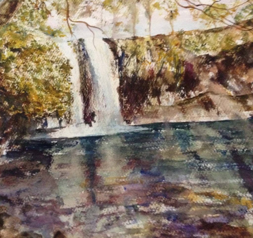 IMG_1421 lyn Takacs waterfall