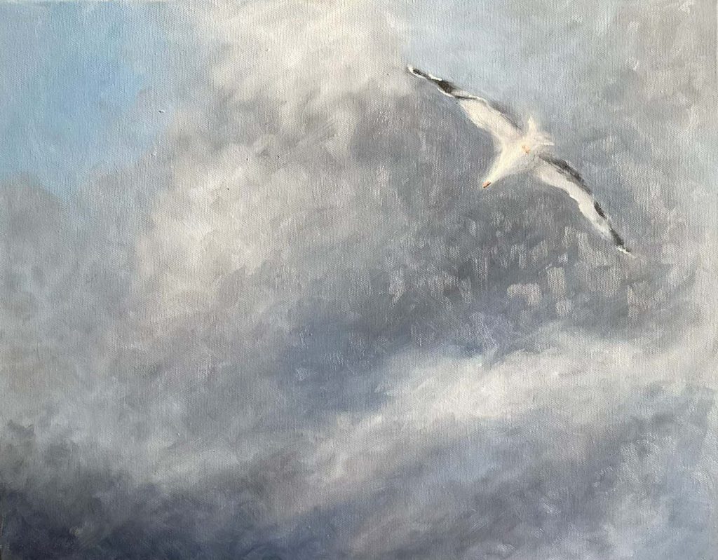 IMG_1928 Seagull in flight Julia Crofts