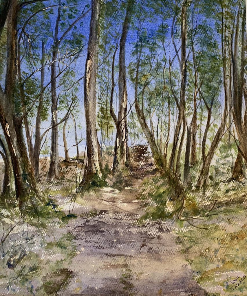 IMG_4129 (1) lyn takacs forest path