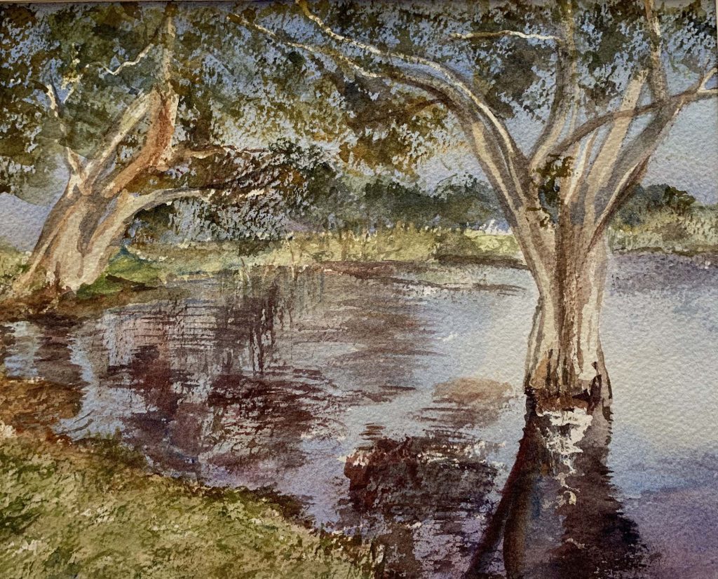 IMG_4439 Lyn Takacs Lake Ainsworth