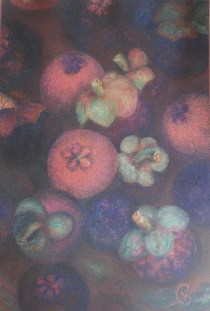 Many Mangosteens Cecily Barrack