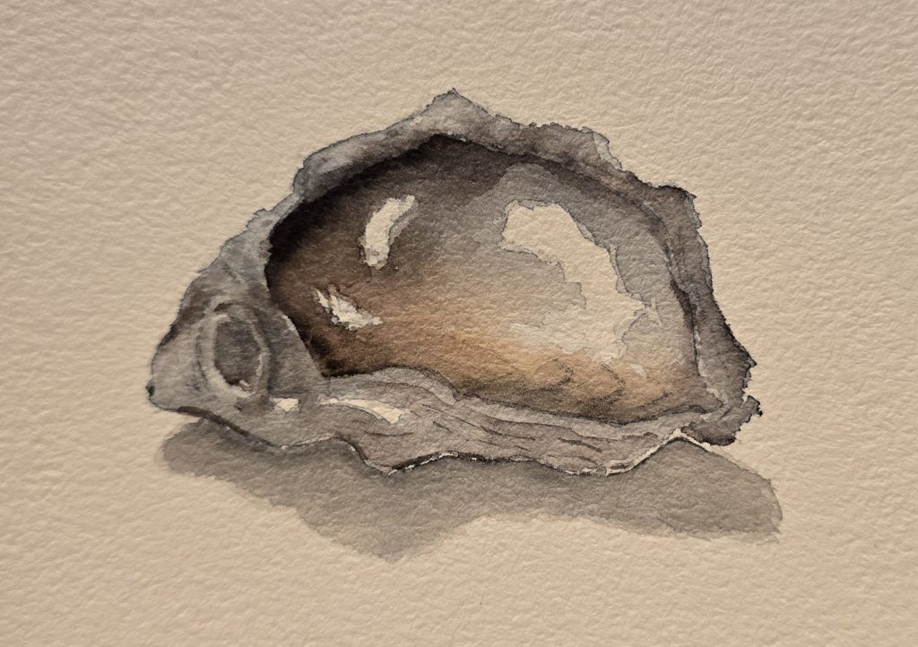 Oyster Rebecca Dickson